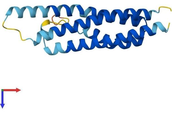 CNIH2 Protein (AA 1-160) (His tag)