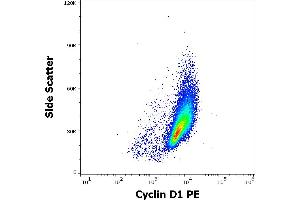 Flow cytometry intracellular staining pattern of HUVEC cells stained using anti-Cyclin D1 (DCS-6) PE antibody (concentration in sample 15 μg/mL). (Cyclin D1 Antikörper  (AA 1-295) (PE))