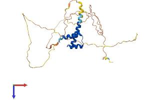 Nanog Protein (AA 1-305) (His tag)