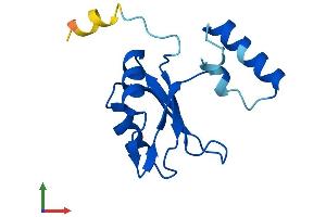 AlphaFold protein structure predicition of Human Recombinant SF3B6 Protein, UniprotID Q9Y3B4