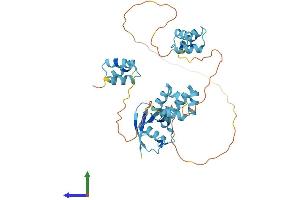 Protein Structure (PS) image for RAD23 Homolog A (RAD23A) (AA 1-363) protein (His tag) (ABIN7555180)