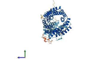 Protein Structure (PS) image for Tetratricopeptide Repeat Domain 8 (TTC8) (AA 1-541) protein (His tag) (ABIN7555861)