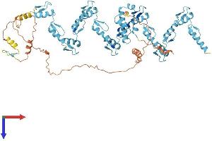 ZNF254 Protein (AA 1-659) (His tag)