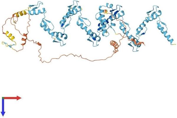 ZNF254 Protein (AA 1-659) (His tag)