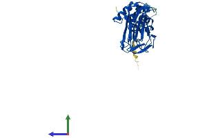 Protein Structure (PS) image for F-Box Protein 27 (FBXO27) (AA 1-280) protein (His tag) (ABIN7557909)