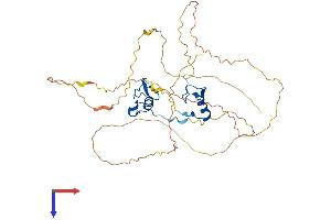 GATA5 Protein (AA 1-404) (His tag)