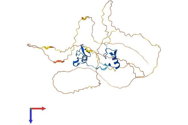 GATA5 Protein (AA 1-404) (His tag)