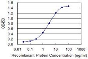 Detection limit for recombinant GST tagged FGG is 0. (FGG Antikörper  (AA 31-130))