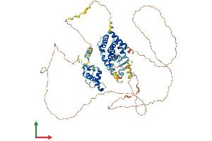 Protein Structure (PS) image for Nuclear Receptor Subfamily 1, Group D, Member 1 (NR1D1) (AA 1-615) protein (His tag) (ABIN7563756)