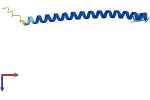 Heat Shock Factor Binding Protein 1-Like 1 (HSBP1L1) (AA 1-74) protein (Fc Tag)