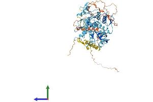 Protein Structure (PS) image for ZFP69 Zinc Finger Protein (ZFP69) (AA 1-566) protein (His tag) (ABIN7545366)