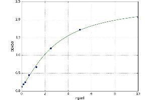 A typical standard curve