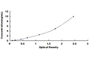 Typical standard curve (CISD1 ELISA Kit)