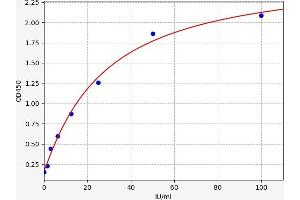 Hexosaminidase B (Beta Polypeptide) (HEXB) ELISA Kit