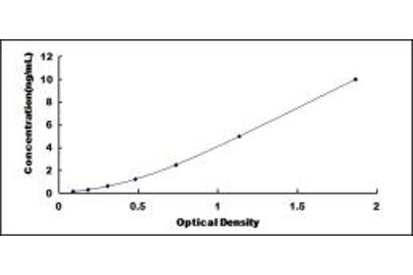 DUSP5 ELISA Kit