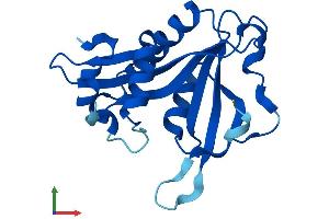 Protein Structure (PS) image for N-Acetyltransferase 5 (NAT5) (AA 1-178) protein (His tag) (ABIN7549667)