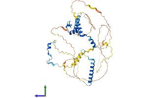 Protein Structure (PS) image for Nucleolar and Spindle Associated Protein 1 (NUSAP1) (AA 1-441) protein (His tag) (ABIN7550002)
