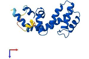 RGS13 Protein (AA 1-158) (His tag)