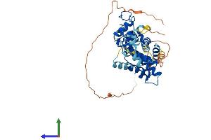 Protein Structure (PS) image for Nuclear Receptor Subfamily 2, Group F, Member 1 (NR2F1) (AA 1-422) protein (His tag) (ABIN7557583)