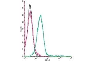 Flow Cytometry (FACS) image for anti-Corticotropin Releasing Hormone Receptor 1 (CRHR1) (AA 31-44), (Extracellular) antibody (ABIN7043086)