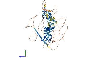 AlphaFold protein structure predicition of Mouse Recombinant Kcnh8 Protein, UniprotID P59111