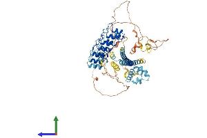 AlphaFold protein structure predicition of Human Recombinant ANKS3 Protein, UniprotID Q6ZW76