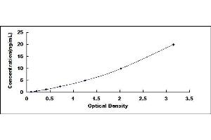 Typical standard curve (Desmoplakin ELISA Kit)
