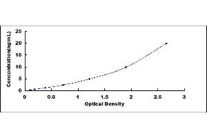 Typical standard curve