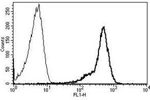 A typical staining pattern with the B-F24 monoclonal antibody of lymphocytes (CD44 Antikörper)