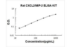 Chemokine (C-X-C Motif) Ligand 2 (CXCL2) ELISA Kit
