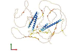 Protein Structure (PS) image for Coiled-Coil Domain Containing 120 (CCDC120) (AA 1-630) protein (His tag) (ABIN7552906)