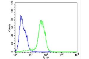 Flow cytometric analysis of HepG2 cells using (Mouse) Epcam Antibody (C-term)(green, Cat(ABIN6242229 and ABIN6577822)) compared to an isotype control of rabbit IgG(blue). (EpCAM Antikörper  (C-Term))