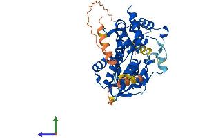Protein Structure (PS) image for Methyltransferase 5 Domain Containing 1 (METT5D1) (AA 1-406) protein (His tag) (ABIN7561340)