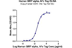ELISA image for Signal-Regulatory Protein alpha (SIRPA) (AA 31-370) protein (Fc Tag) (ABIN7275654)
