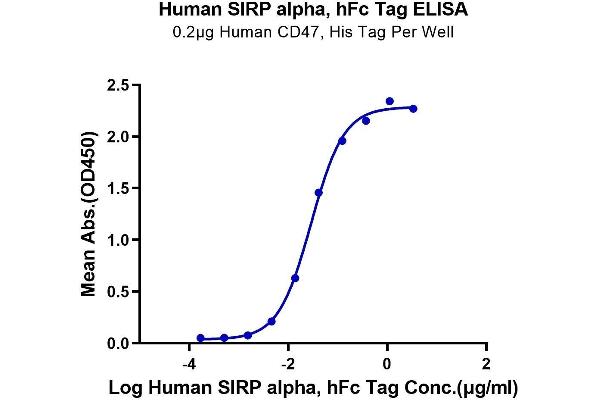 SIRPA Protein (AA 31-370) (Fc Tag)