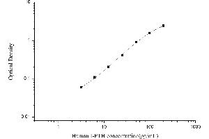 Intact Parathormone ELISA Kit