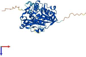 NSUN3 Protein (AA 1-348) (His tag)