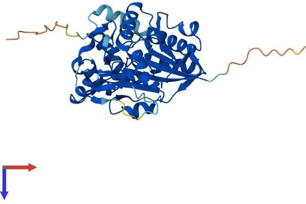 NSUN3 Protein (AA 1-348) (His tag)