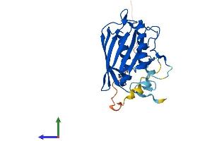 AlphaFold protein structure predicition of Human Recombinant THEM5 Protein, UniprotID Q8N1Q8