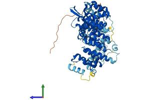 Protein Structure (PS) image for TH1-Like (TH1L) (AA 1-591) protein (His tag) (ABIN7560229)