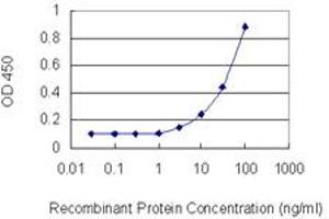 Detection limit for recombinant GST tagged PIK3AP1 is 1 ng/ml as a capture antibody. (PIK3AP1 Antikörper  (AA 601-700))
