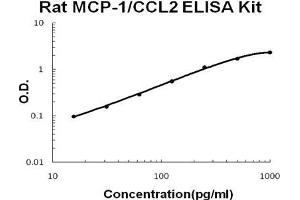 Rat MCP-1/CCL2 PicoKine ELISA Kit standard curve (CCL2 ELISA Kit)