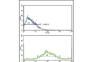 Flow cytometric analysis of NCI- cells using SAR1A Antibody (Center)(bottom histogram) compared to a negative control cell (top histogram). (SAR1A Antikörper  (AA 122-149))