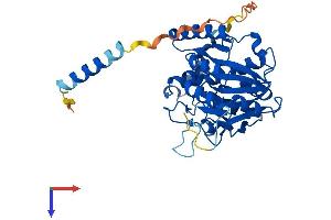 B3GNT3 Protein (AA 1-372) (His tag)