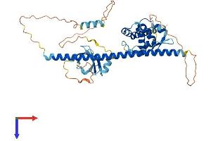 AlphaFold protein structure predicition of Mouse Recombinant Bend5 Protein, UniprotID Q8C6D4