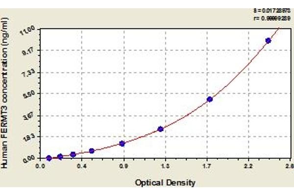 FERMT3 ELISA Kit