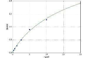 Kidney Androgen Regulated Protein (KAP) ELISA Kit
