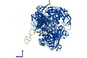 Protein Structure (PS) image for Aldehyde Oxidase 1 (AOX1) (AA 1-1333) protein (His tag) (ABIN7562407)