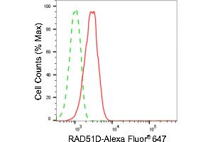 Flow cytometric analysis of RAD51D expression in HeLa cells using RAD51D antibody (ABIN7800120), 1:2,000). (Rekombinanter RAD51D Antikörper)