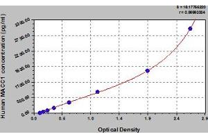 Typical Standard Curve (MACC1 ELISA Kit)